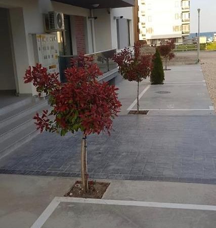 Mamaia Nord Apartament 18 Năvodari Exteriér fotografie